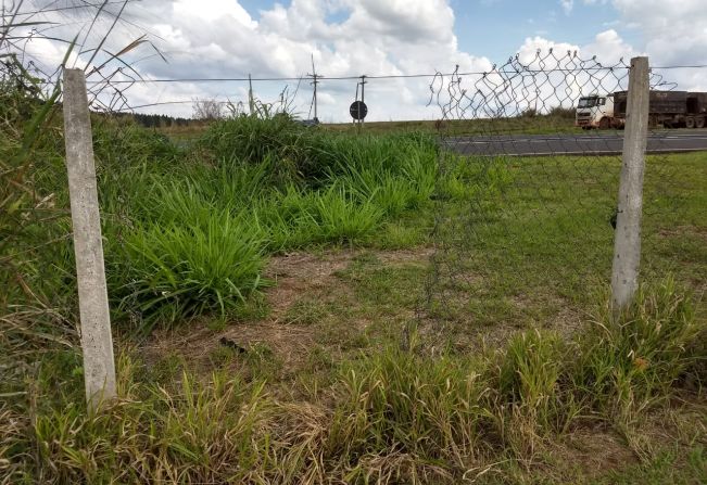 Alambrados que cercam Parque ecológico Jayme Miranda foram cortados mais uma vez
