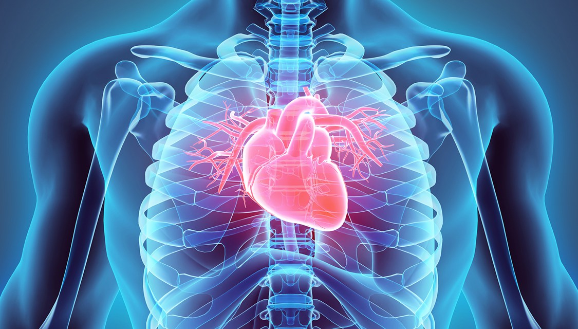   Qual a relação entre o pênis e o coração? urologista explica