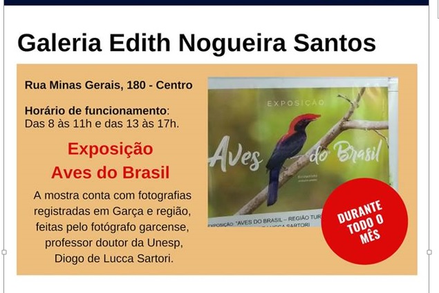 Continua Exposição Aves do Brasil na Galeria Edith Nogueira Santos 