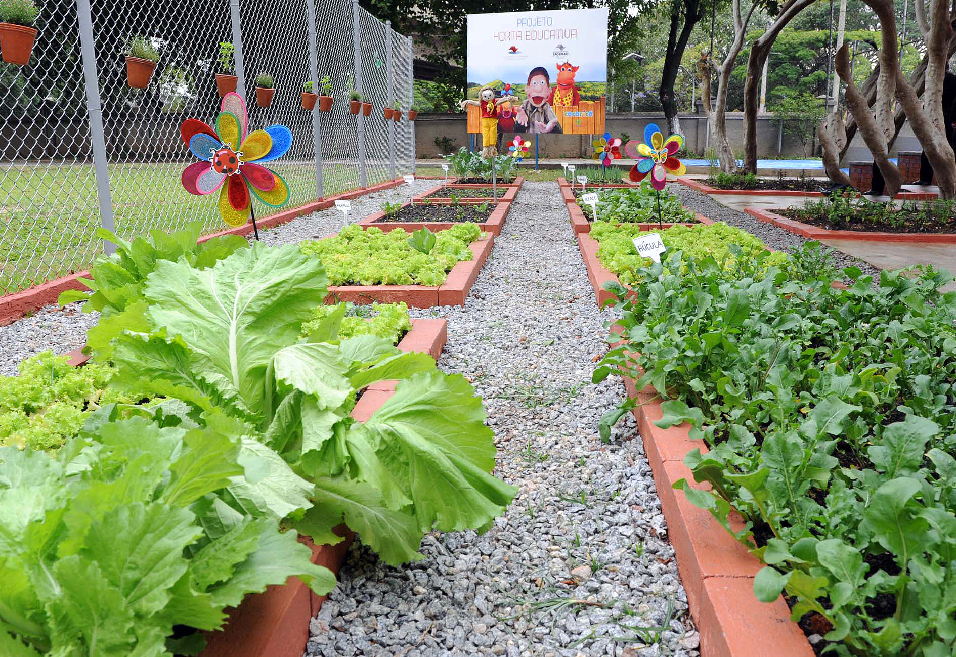 Sistema Vertical de Produção de Hortaliças entra em operação na região de Bauru