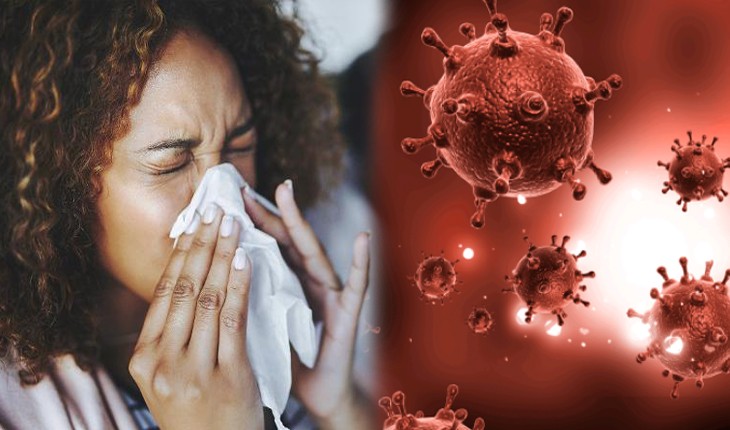 Arenavírus: entenda a doença rara e isolada registrada em SP