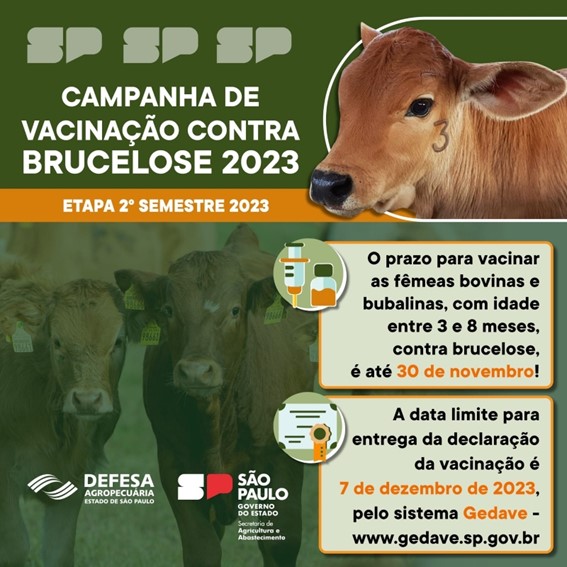 Campanha de vacinação contra brucelose 2023 prossegue até 30 de novembro