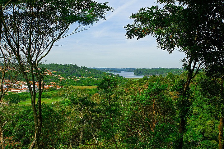 Lei do ICMS Ambiental proposta pelo Governo de SP é aprovada na Alesp