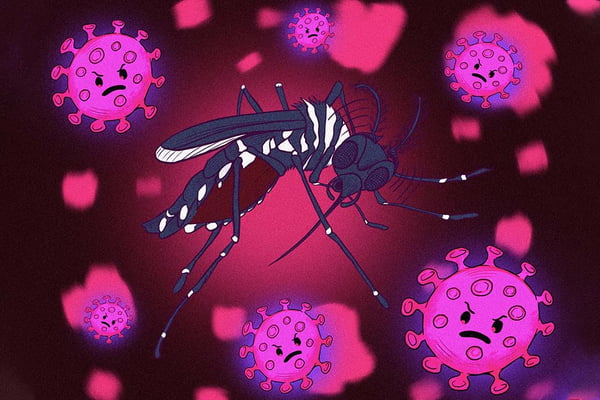  Marília registra mais duas mortes em decorrência da dengue e um óbito por complicações da Covid
