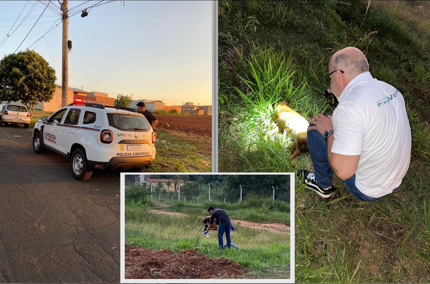 Cachorro é encontrado morto com sinais de violência em terreno baldio em Garça 