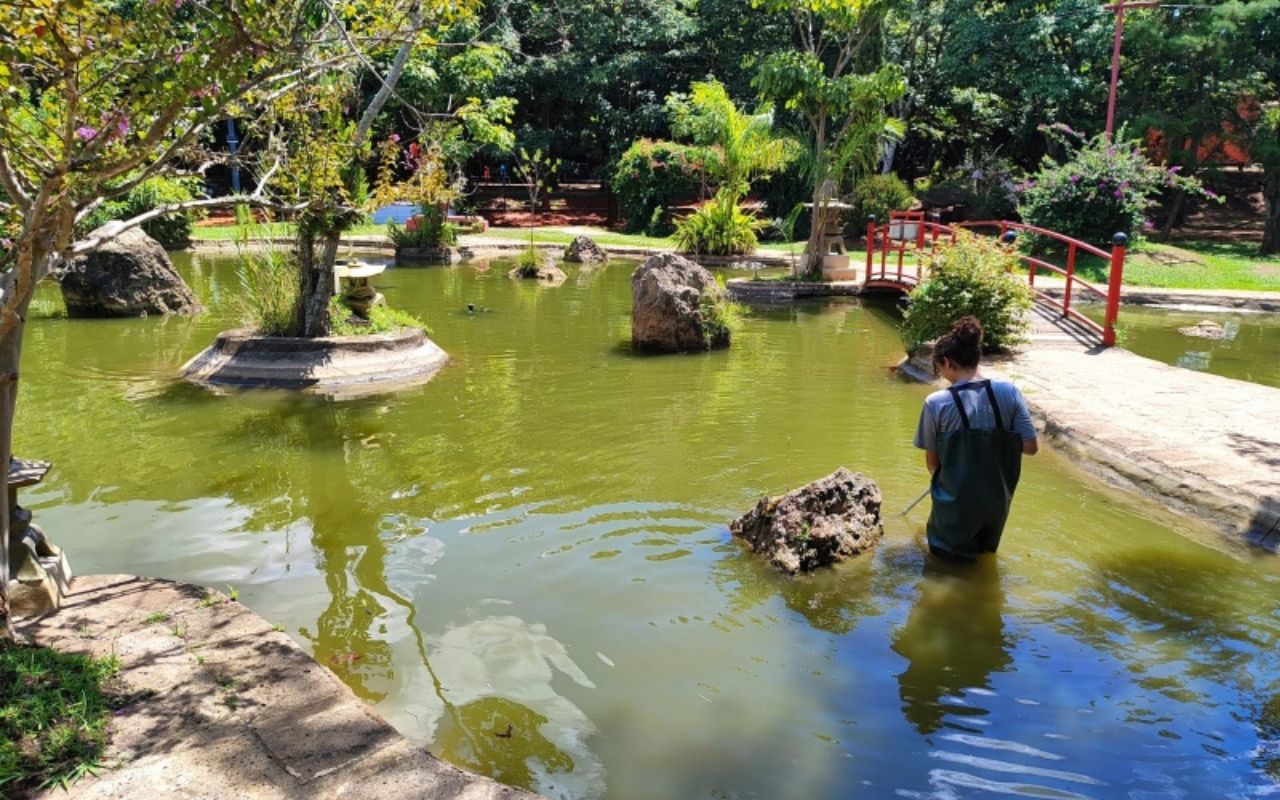 Jardim Oriental do Lago Artificial JK Williams será reinaugurado dia 18