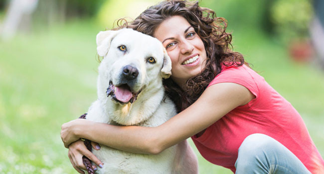 Dicas para comprar um cachorro de raça