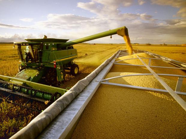 Produção brasileira de soja será de 89.5 milhões de toneladas, prevê USDA - 